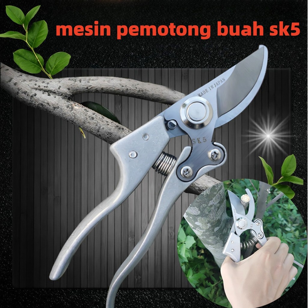 Gunting dahan ranting kapusi original Gunting pruning durian Gunting Bonsai Kapusi Japan stainless s