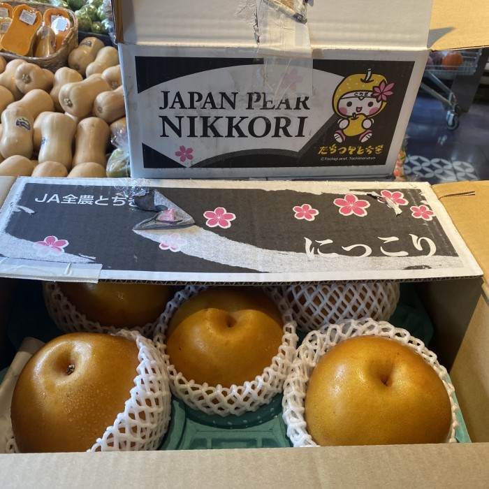 

Pear nikkori jepang manis banyak air| Buah pear jepang nikkori /pcs