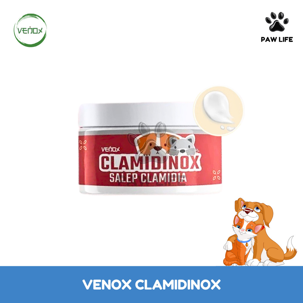 PL Venox CLAMIDINOX Salep Obat Clamidia Mata Kucing Anjing Infeksi Berselaput Bengkak Belekan Berair