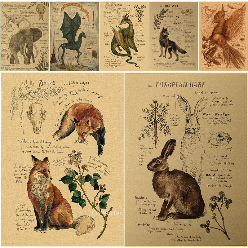 Natural Study Red Fox/Dragon/Elephant/Phoenix/Thestral/Wolf/Hare Poster Prints Kraft Paper Vintage H