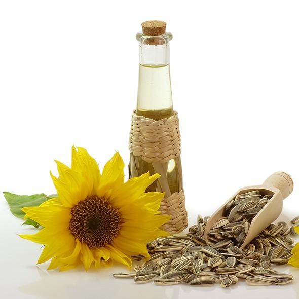 

Sun Flower Seed Oil / Minyak Biji Bunga Matahari (1 liter)