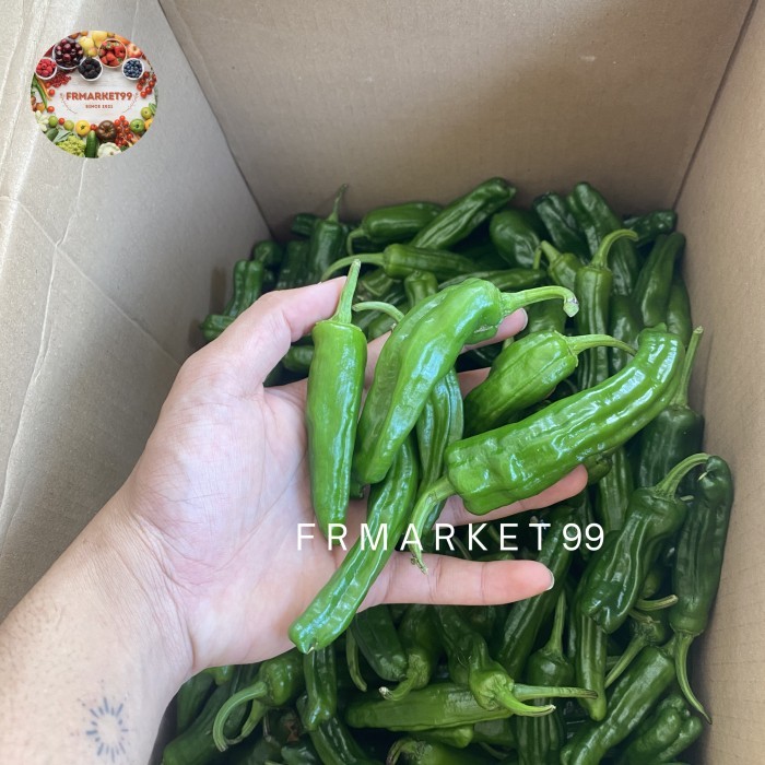 

Cabe Shisito Fresh / Highland Chili Shisito / 1 Kg