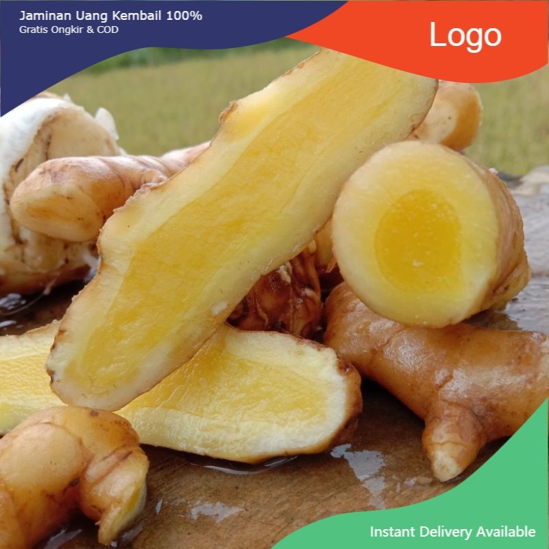 

New Promo Promo Temu Mangga Segar 1 kg (Curcuma mangga) Kunyit Mangga