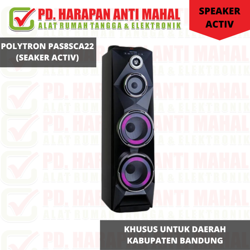 POLYTRON PAS8SCA22 (SEAKER ACTIV)/SPEAKER AKTIF POLYTRON PAS-8SCA22/SPEAKER AKTIF POLYTRON PAS 8SCA2