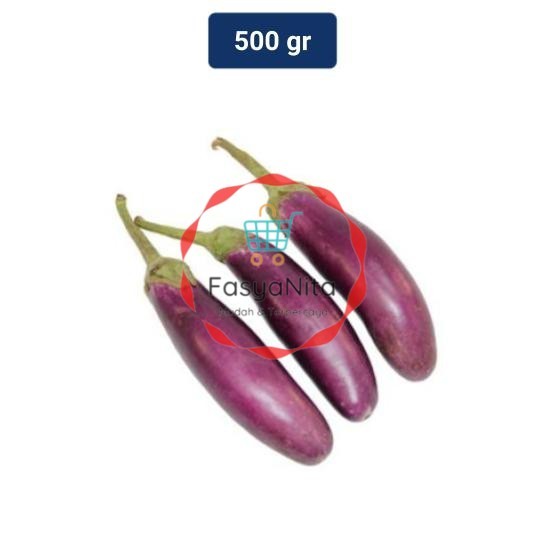 

Terong Ungu Organik 500 gr - Fasyanita Denpasar