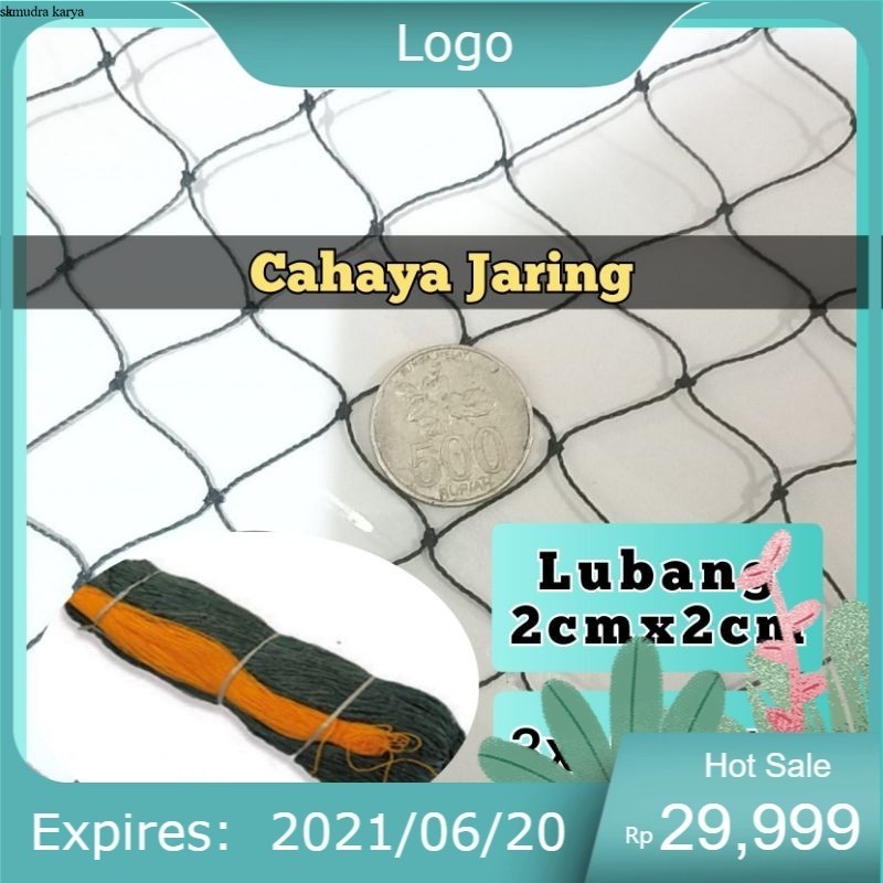 JARING PAGAR SERBAGUNA 3X10 METER LUBANG 2CM X 2CM JARING PAGAR AYAM JARING AYAM JARING PAGAR KANDAN