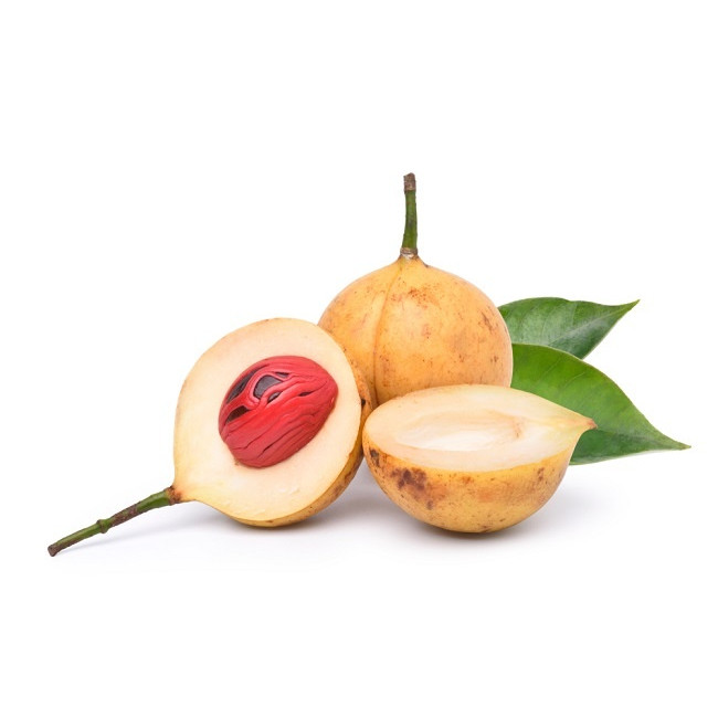 

Buah Pala Segar 1kg Buah muda dan tua untuk herbal insomnia dan hyper aktif balita