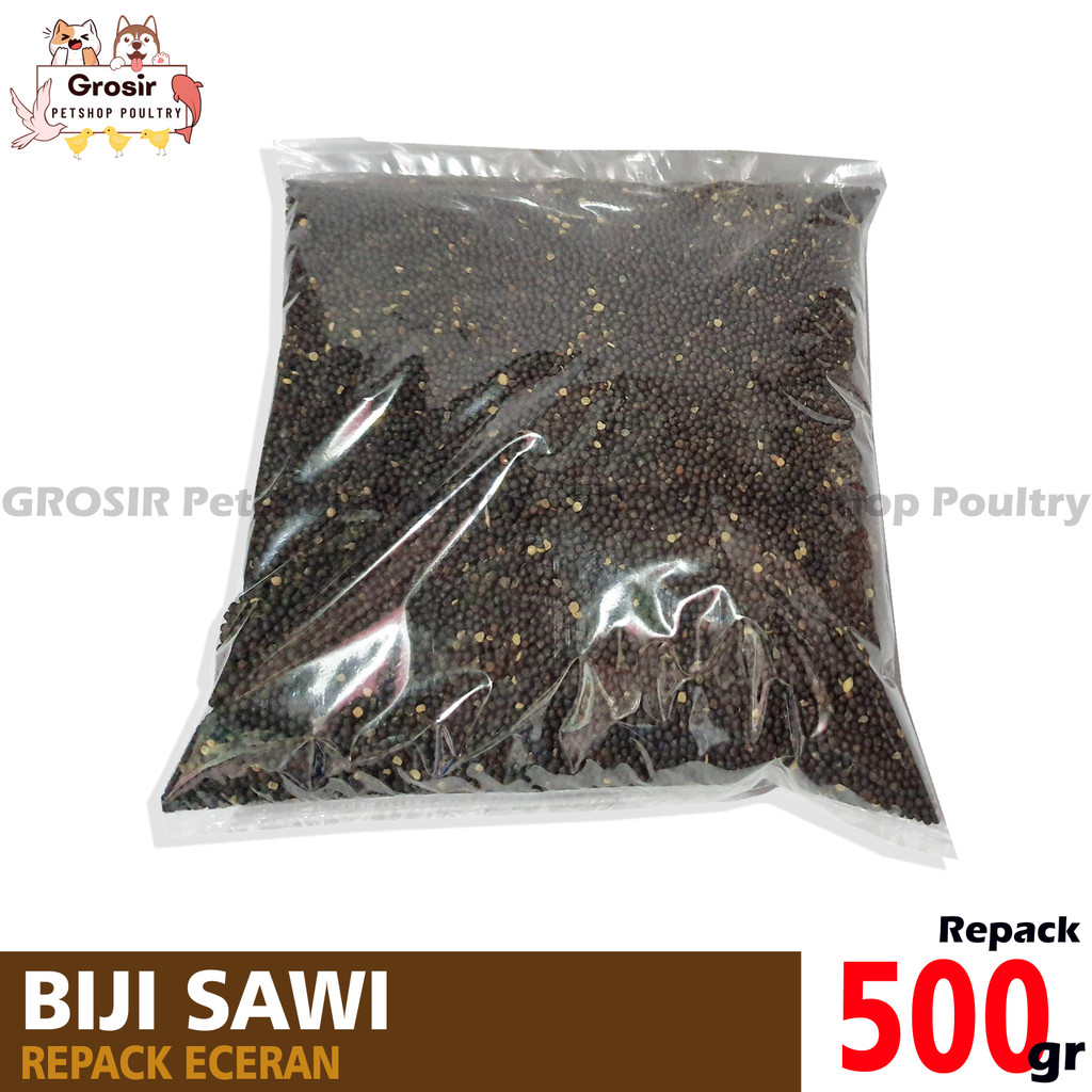 BIJI SAWI UNTUK PAKAN BURUNG BERKICAU KENARI LOVEBIRD KENARI FINCH PAUD