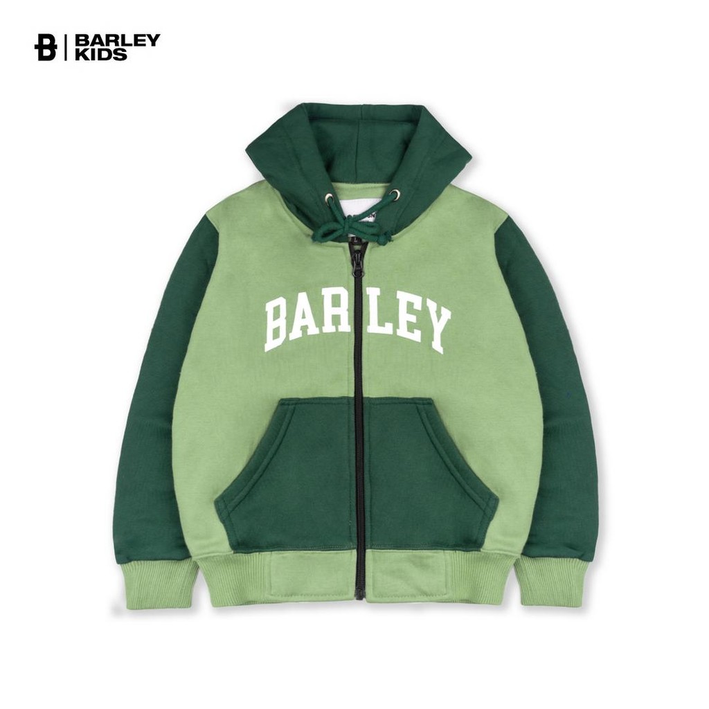 Barley Divison Kids Zecko Green Hoodie