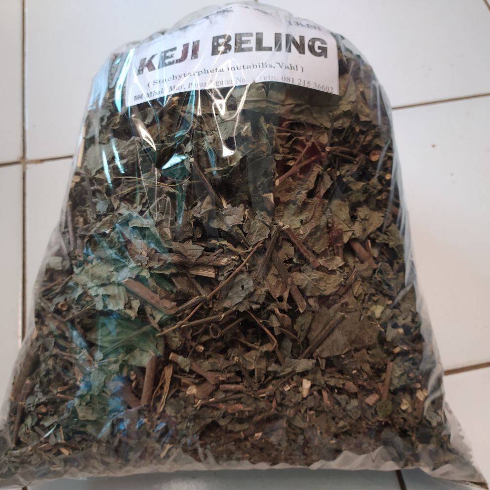

Daun Kejibeling Kering 100 gram