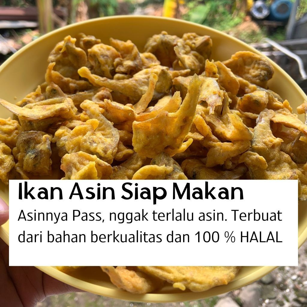 

PREMIUM Ikan Asin Siap Makan - (Rasa Asinnya Pas, tidak Asin Banget). Gurih tidak mudah Melempem. Kemasan Praktis 100% Halal