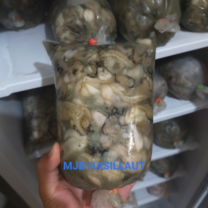 

DAGING TIRAM, oyster, 海蛎，1kg