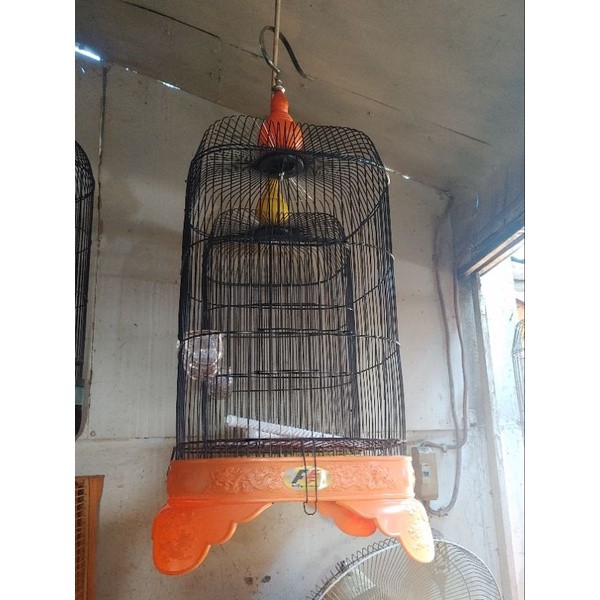 sangkar besi kotak import 30x30x60 ( lovebird/kenari/glatik dll )