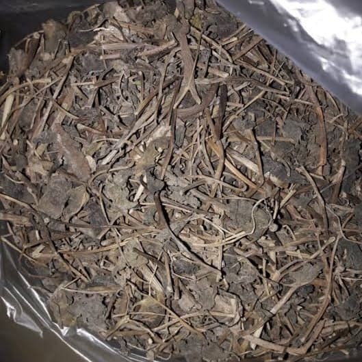 

Daun Binahong Kering (500gr) / Obat Herbal