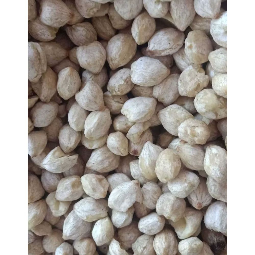 

Kemiri Bulat 1 Kg