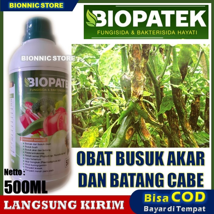 BIOPATEK 500ml Obat Hama Penyakit Busuk Akar dan Batang Cabe Cabai Serta Mengatasi Penyakit Bercak B