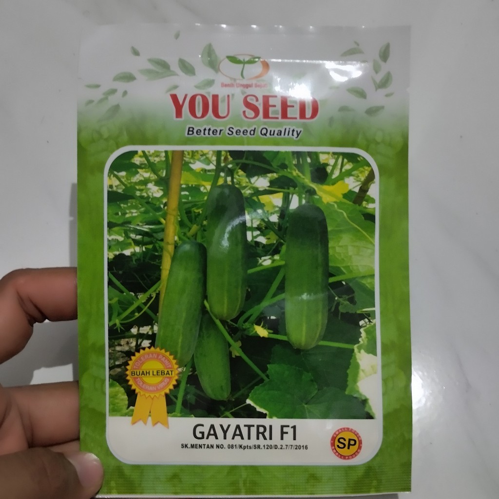 Benih Sp Timun Lalap GAYATRI F1 isi 200 Biji Bibit Hibrida You Seed Hibrida