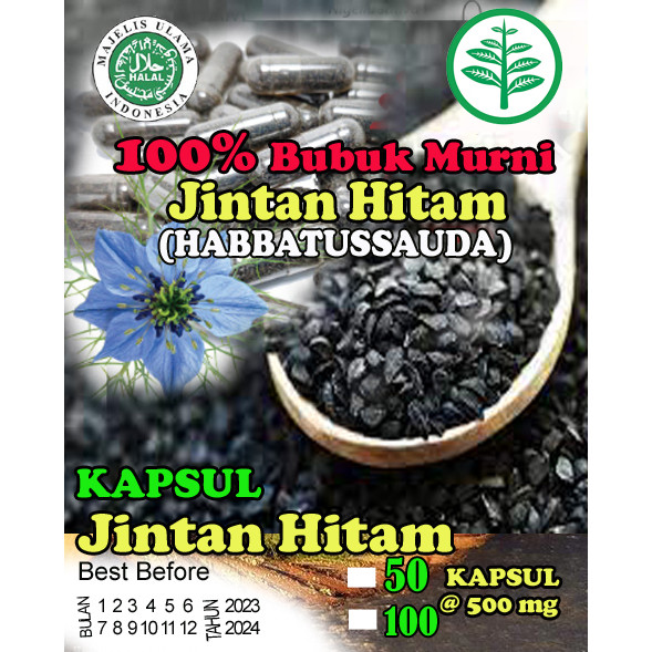Kapsul Habbatussauda (Jinten Hitam) Isi 100 Asli
