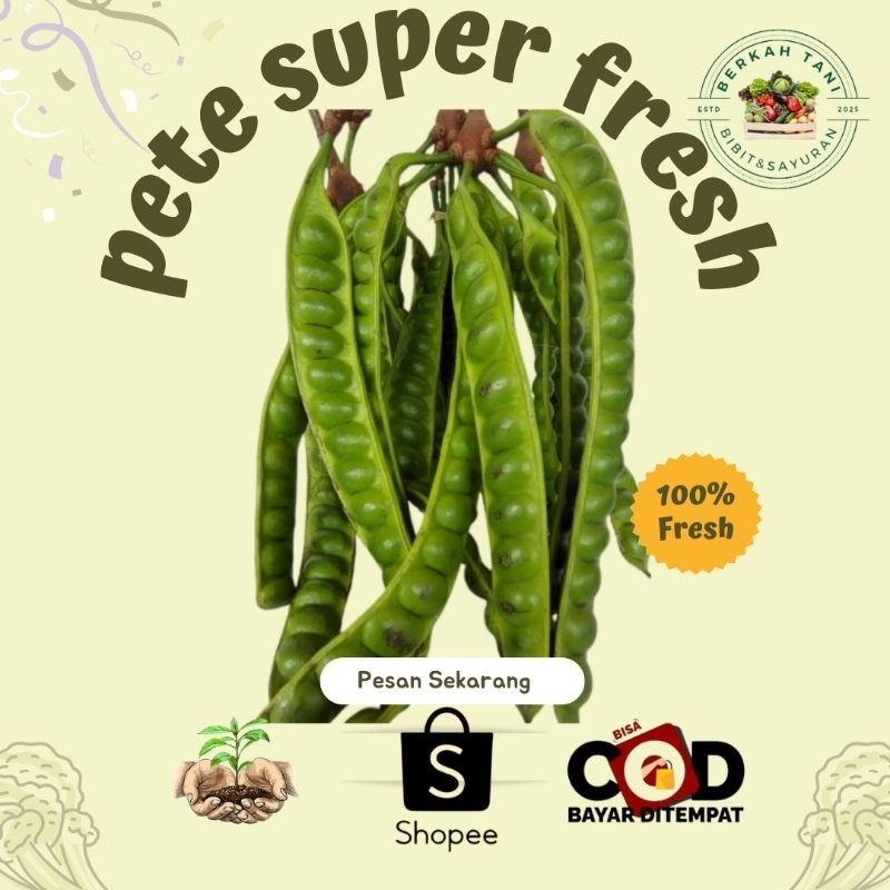 

TERLARIS Pete super 12 papan/lonjor pilihan BERKAH_TANI TERMURAH