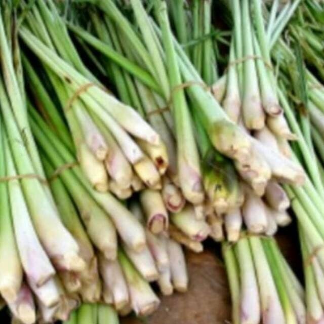 

Cod Sereh Serai 500 gr .