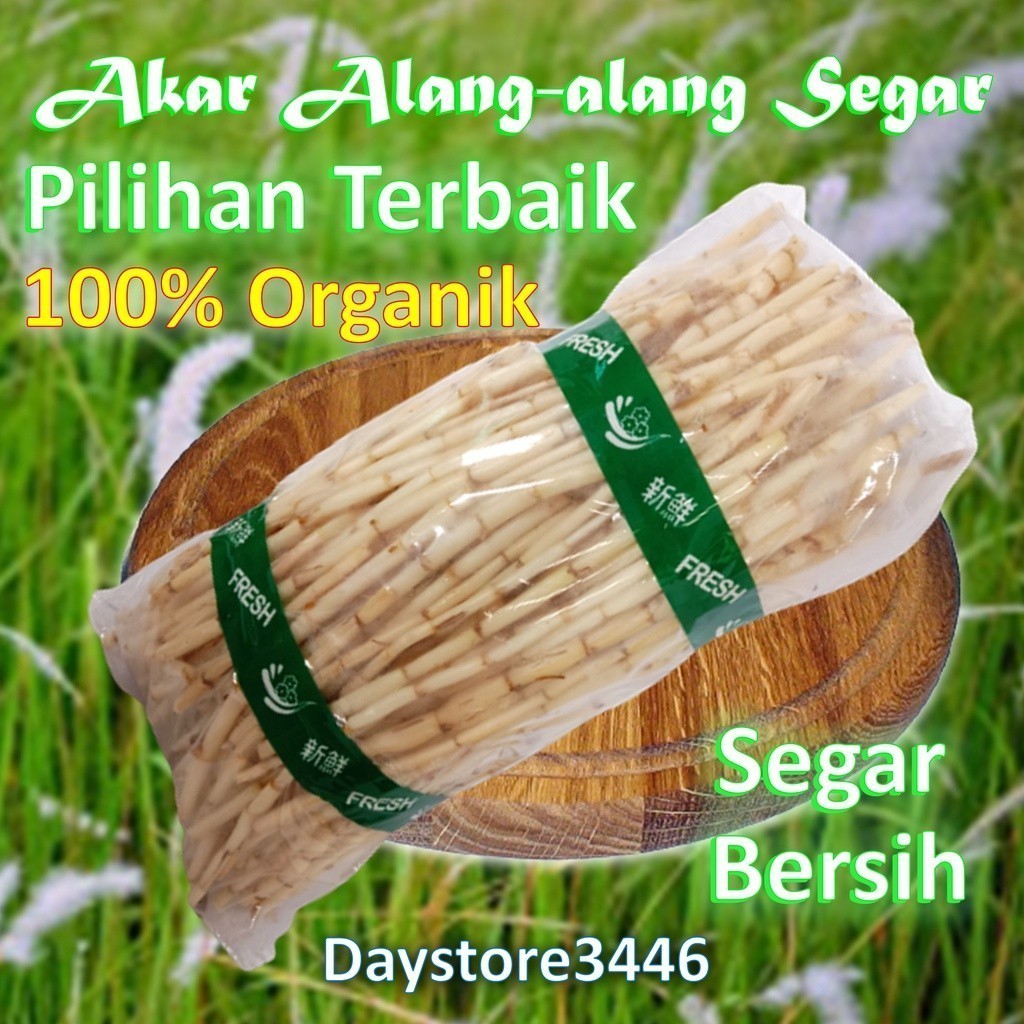 

Cod Akar Alang Alang Segar Super Fress 250 g Dari Hutan Ciremai .