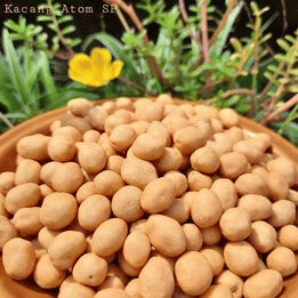 

BESTSELLER kacang atom garuda kacang atom gangsar kacang atom kiloan kacang