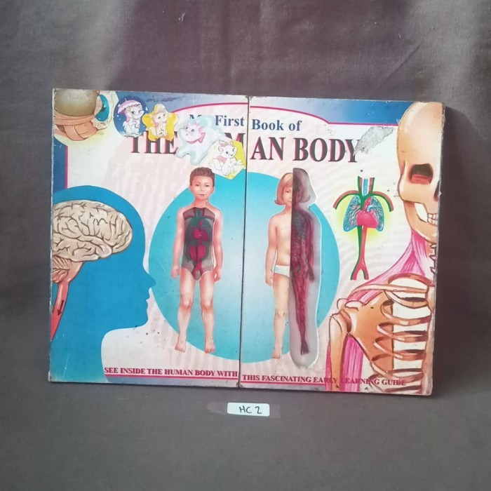 My First Book of the Human Body