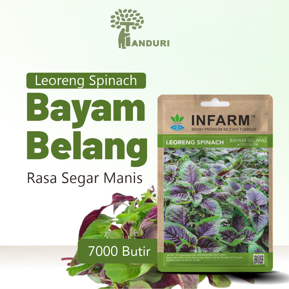 TANDURI - Benih Unggul Bibit Sayur Bayam Benih Sayuran Bayam Loreng Bibit Sayur Sayuran Segar Benih 
