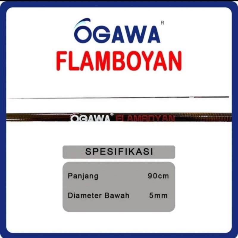 Ujung Carbon Hollow Ogawa Flamboyan 90CM AA