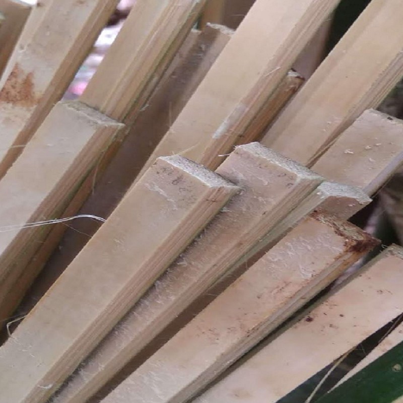 Batang Bilah Bambu - Untuk Ajir Tanaman dan Stake Plant Penyangga Tanaman Hias Alas Kandang Pagar