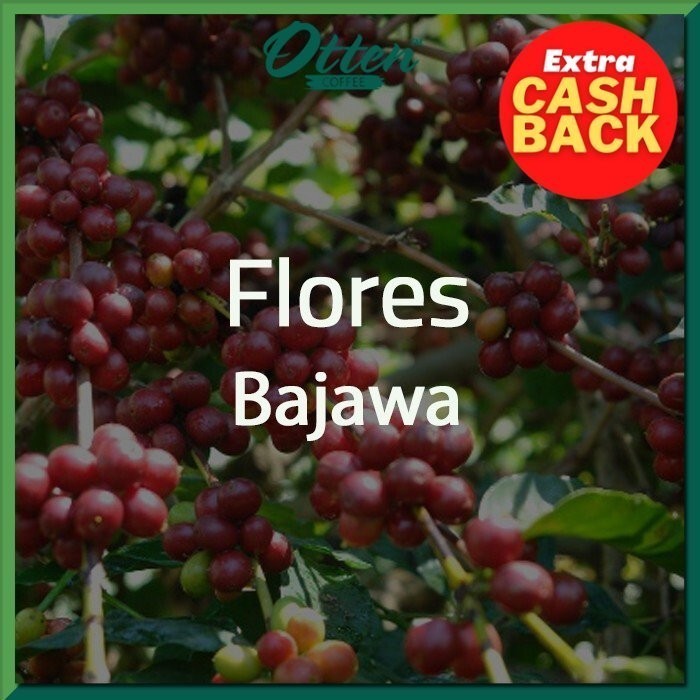 

Green Bean Arabica Flores Bajawa - 1 Kg