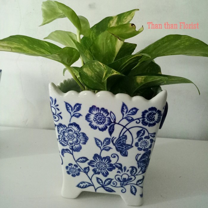 POT KERAMIK KUPING GERIGI KECIL MOTIF BUNGA BIRU PUTIH