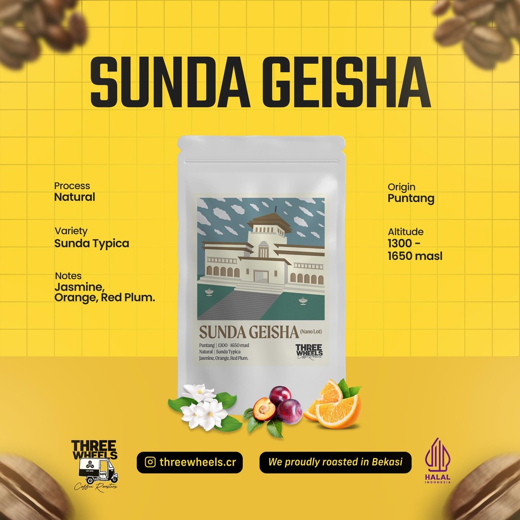 

Kopi Arabika Sunda Geisha Typica Natural