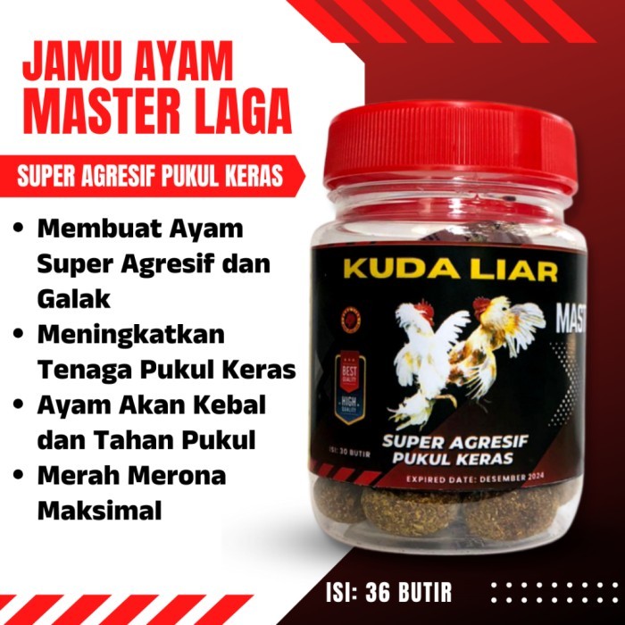 DOPING AYAM ADUAN BIAR GANAS DAN AGRESIF FULL DOPING