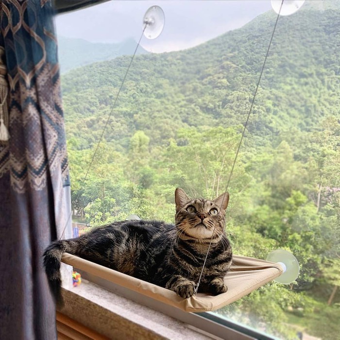 CAT WINDOW HAMMOCK GANTUNG KUCING " Tempat Tidur Kucing Tempel Jendela