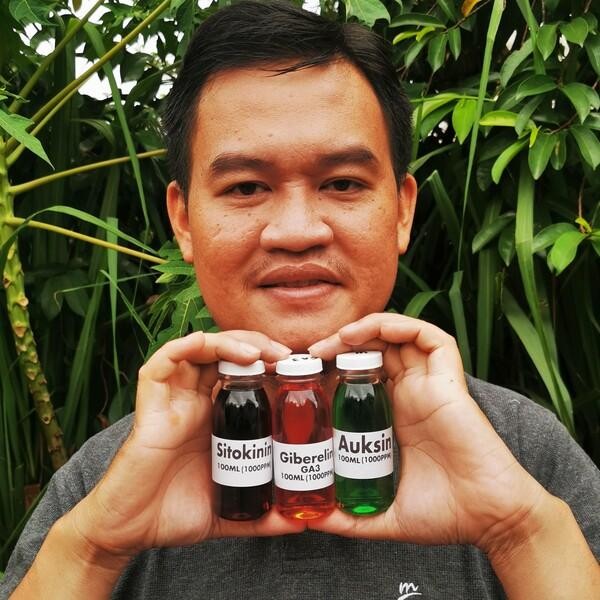 Paket Hormon Tanaman Auksin Giberelin Sitokinin 300ml