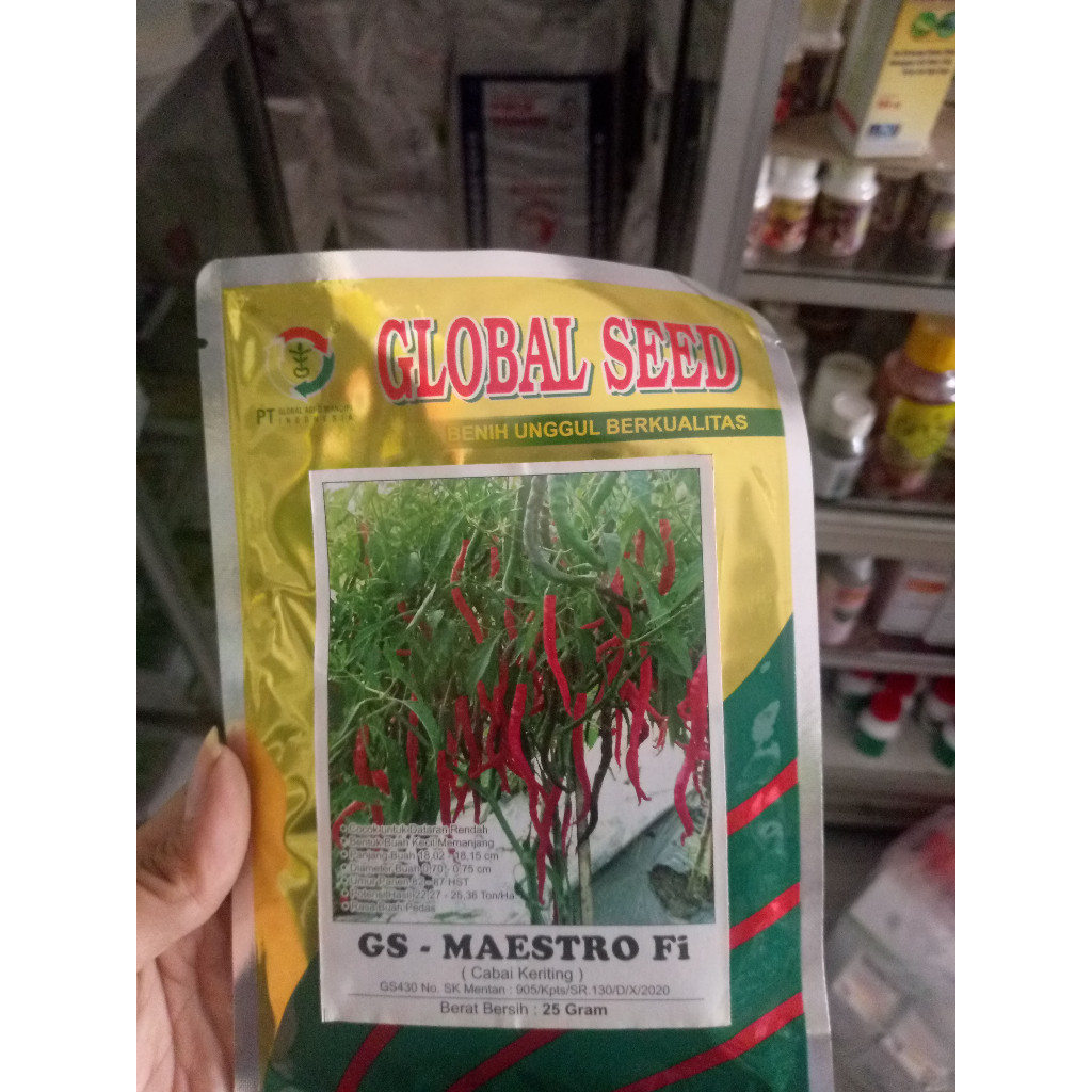 Benih Cabe Keriting GS MAESTRO 25 gr - Cabai Keriting Global Seed