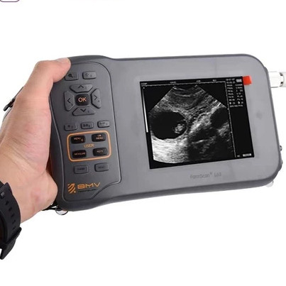 Usg hewan untuk kambing,domba,babi,anjing,kucing/uji kehamilan hewan