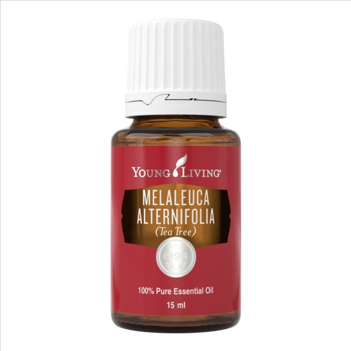 PROMO tea tree 15ml essential oil melaleuca alternifolia young oil living Terlaris