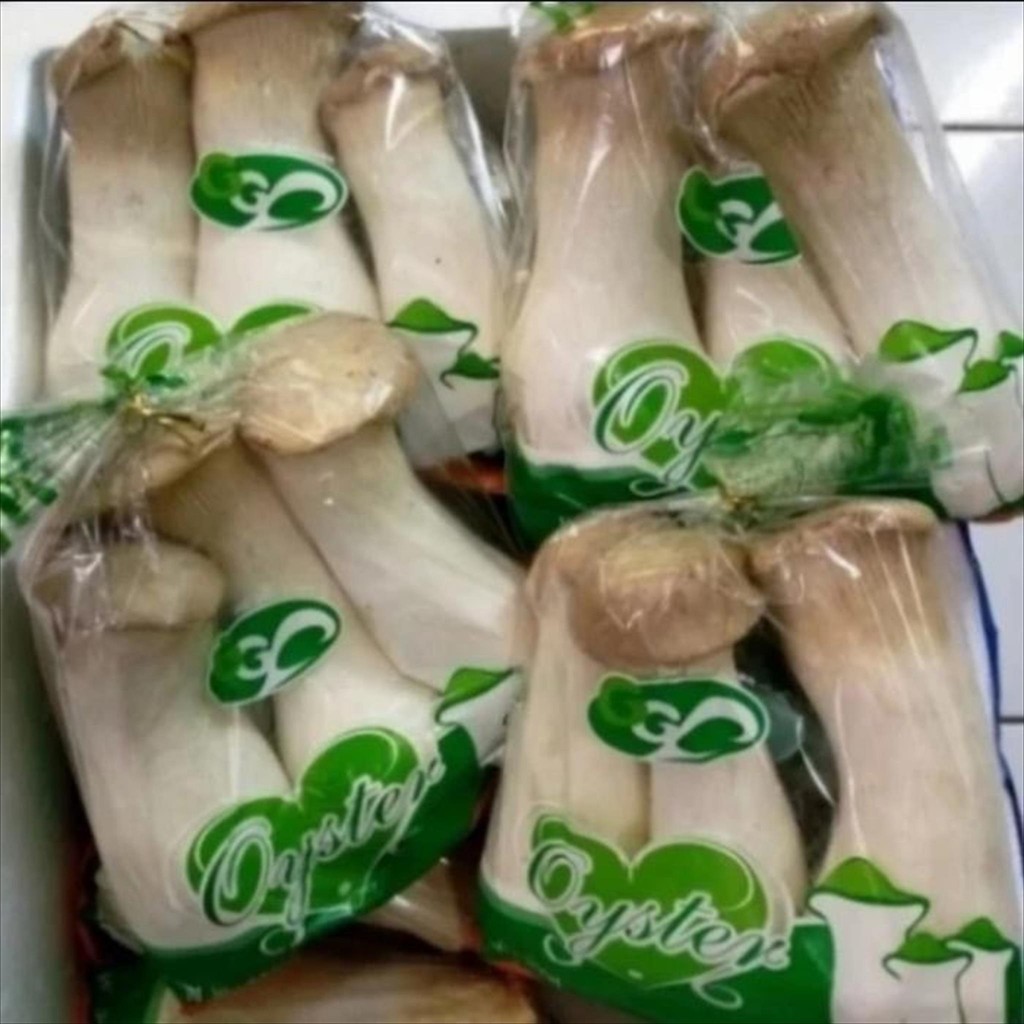 

JAMUR KING OYSTER SEGAR PREMIUM 200 GR