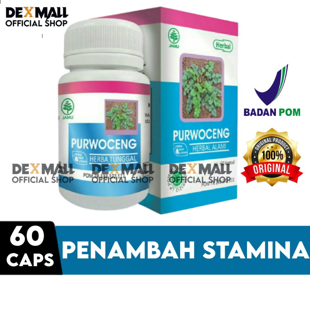 Purwoceng Original Asli Hiu 60 Kapsul