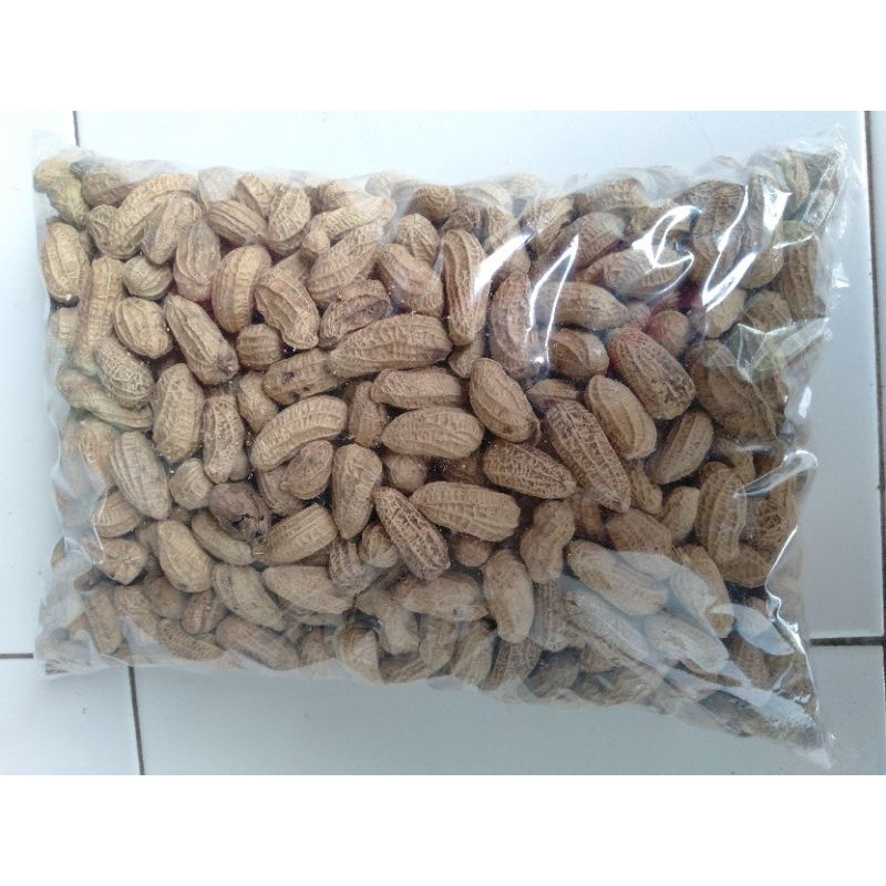 

Kacang Kulit Sangrai cirebon Asli 1 Kg