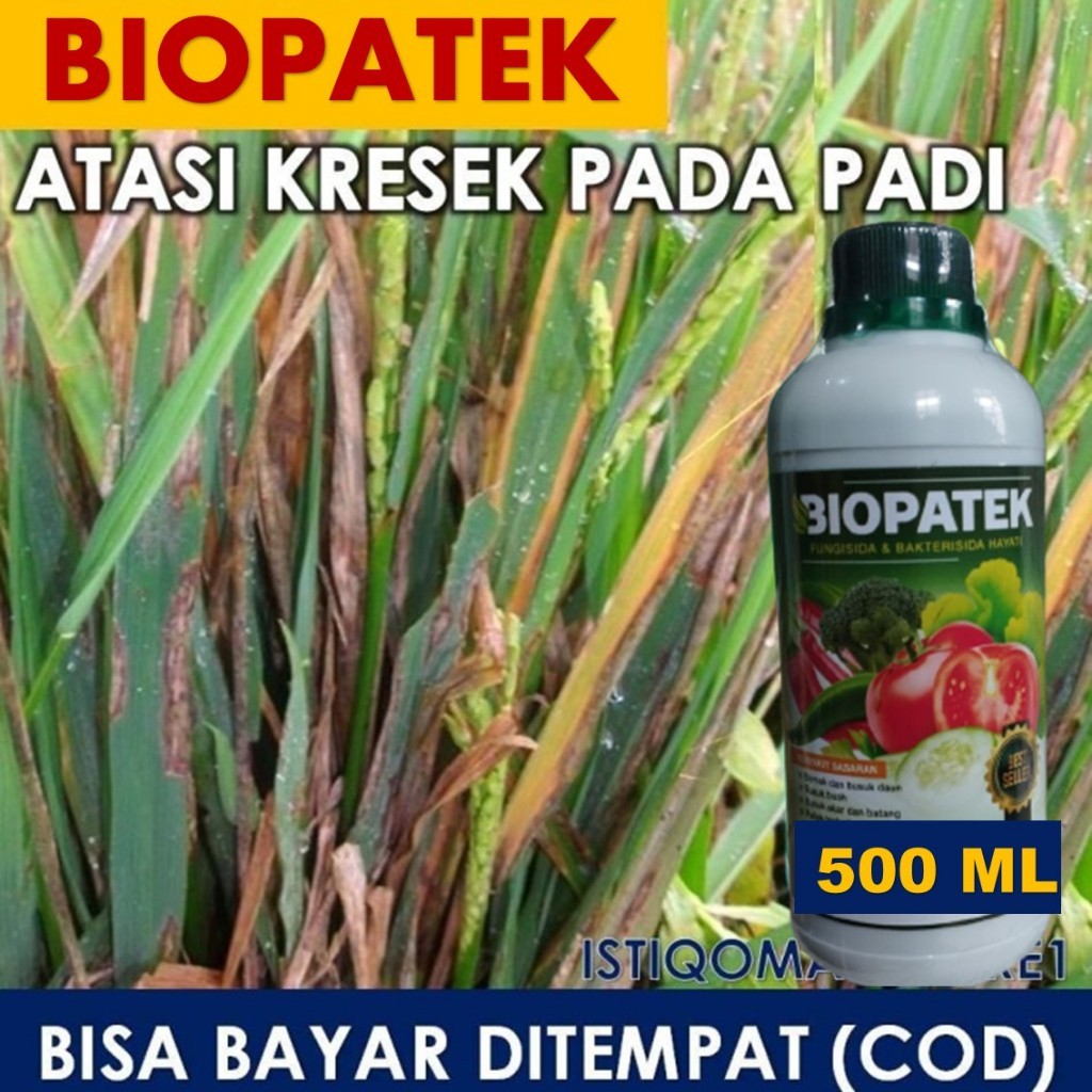 OBAT KRESEK PADI PALING AMPUH BIOPATEK, Mengobati Kresek Padi, Atasi Kresek Daun Padi 100% Original