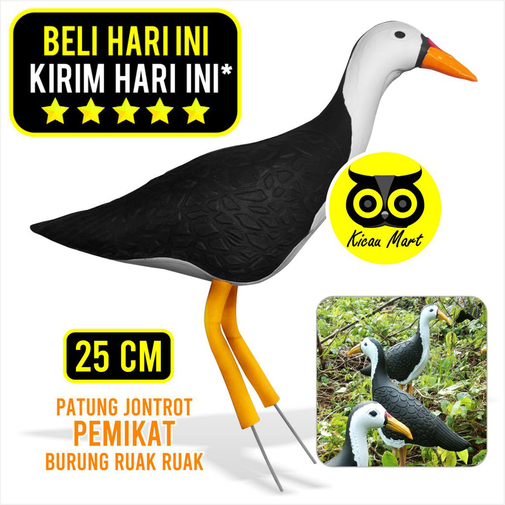 KICAU MART Pemikat Burung Ruak Kareo Wakwak Truwok Patung Jontrot Alat Pikat Jerat Umpan Burung Sawa