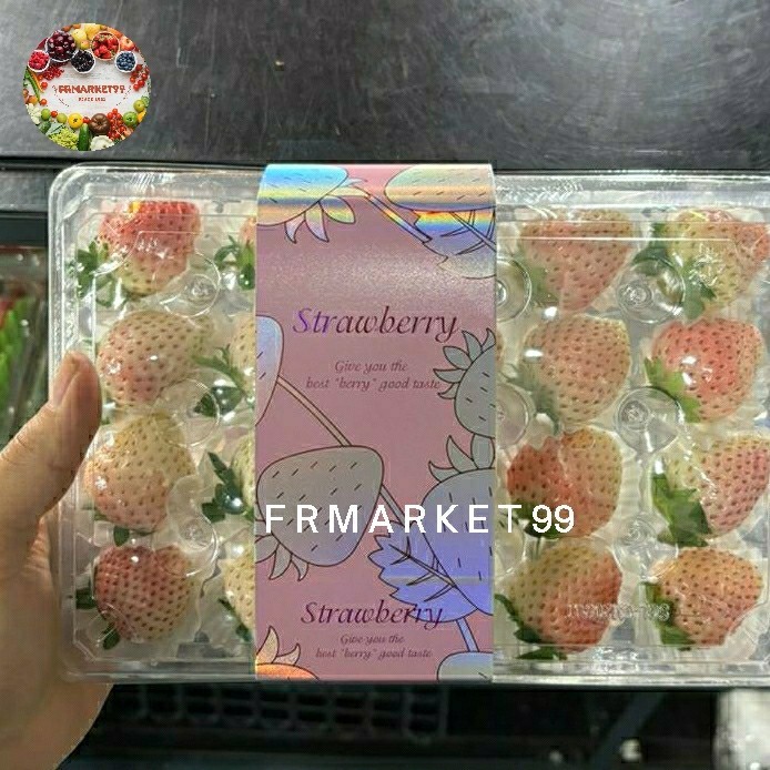 

Buah Strawberry Putih Fresh Import / Pack