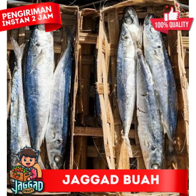 

Ikan Pindang Ukuran Kecil 1 Keranjang isi 3 /4 ekor / Ikan segar dan Fresh