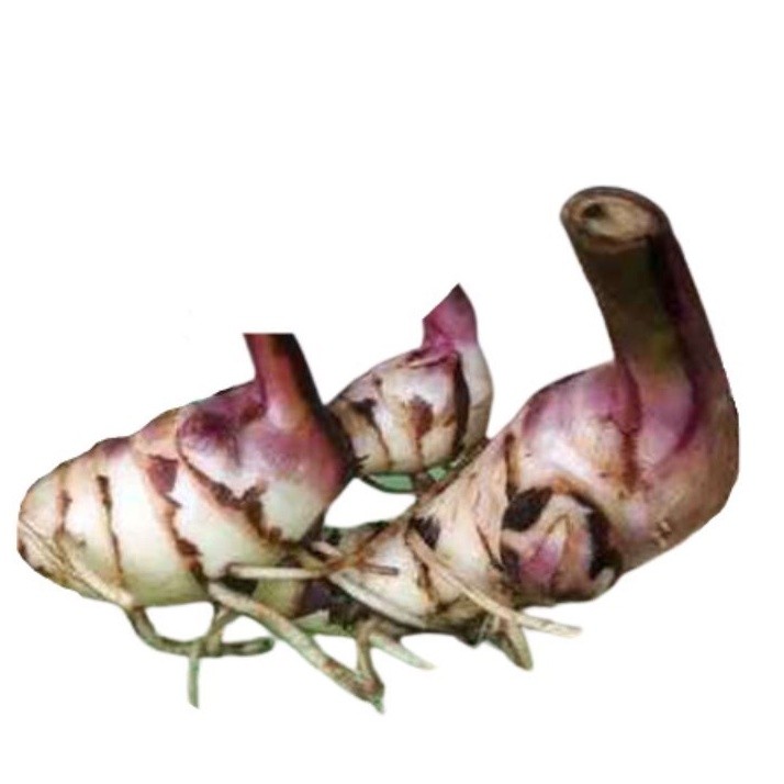 

Termurah Umbi Ganyong Merah 500gram