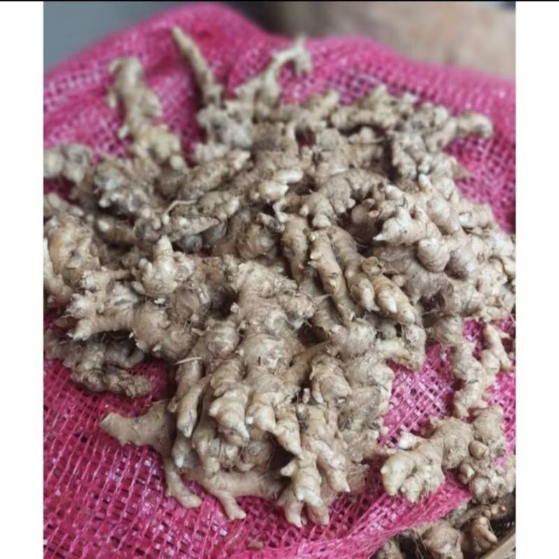 

cod jahe emprit/250g