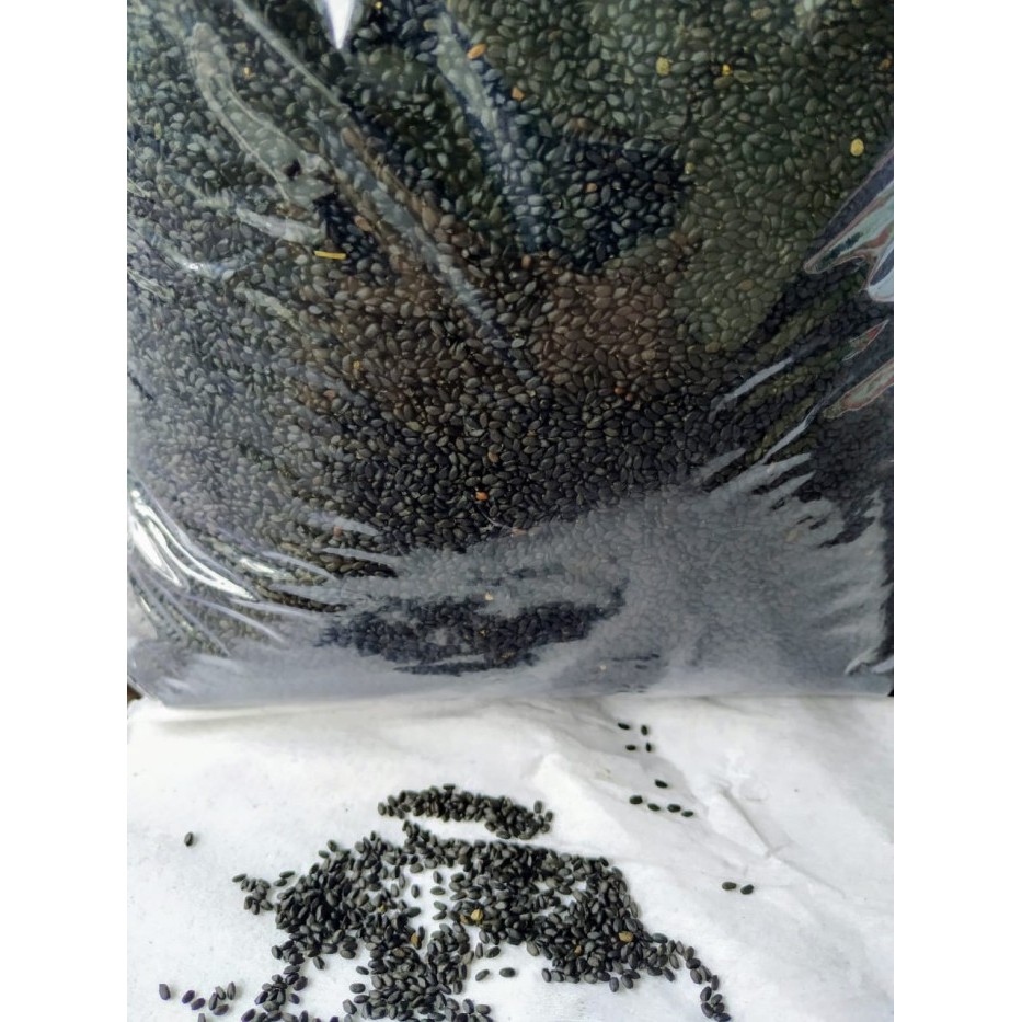

Biji Selasih uk 1 Kg