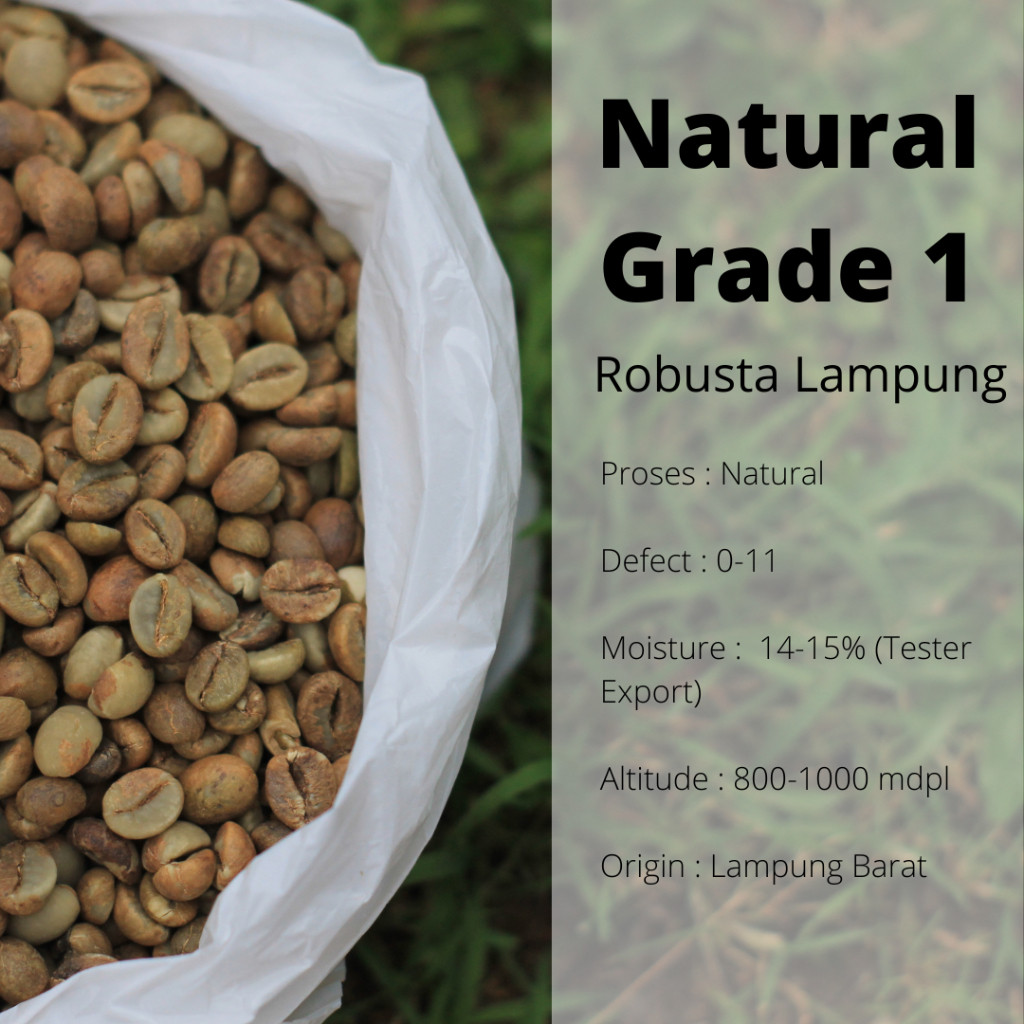

Green Bean Robusta Lampung Natural Proses Aman